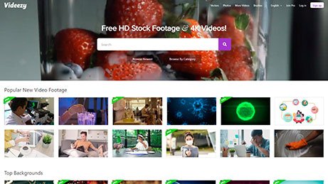 Videezy - Free HD Stock Footage & 4K Videos