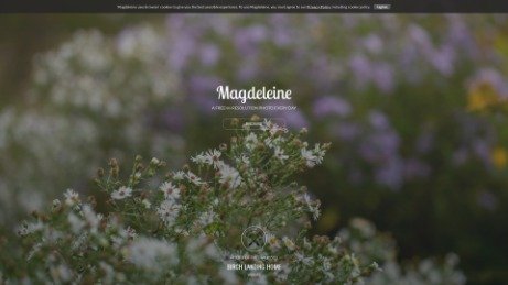 Hand-picked free photos for your inspiration - Magdeleine